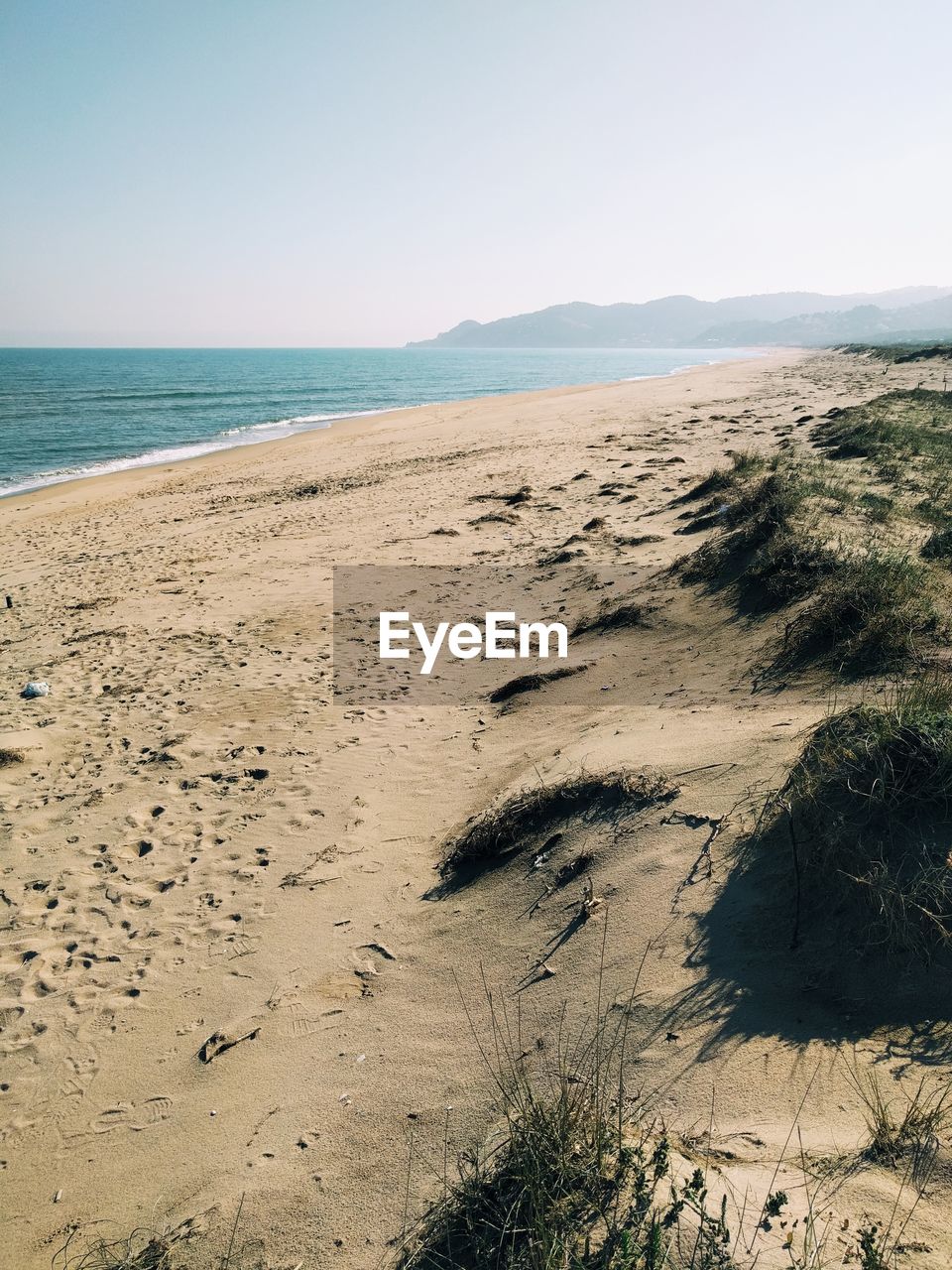 VIEW OF BEACH AGAINST CLEAR SKY