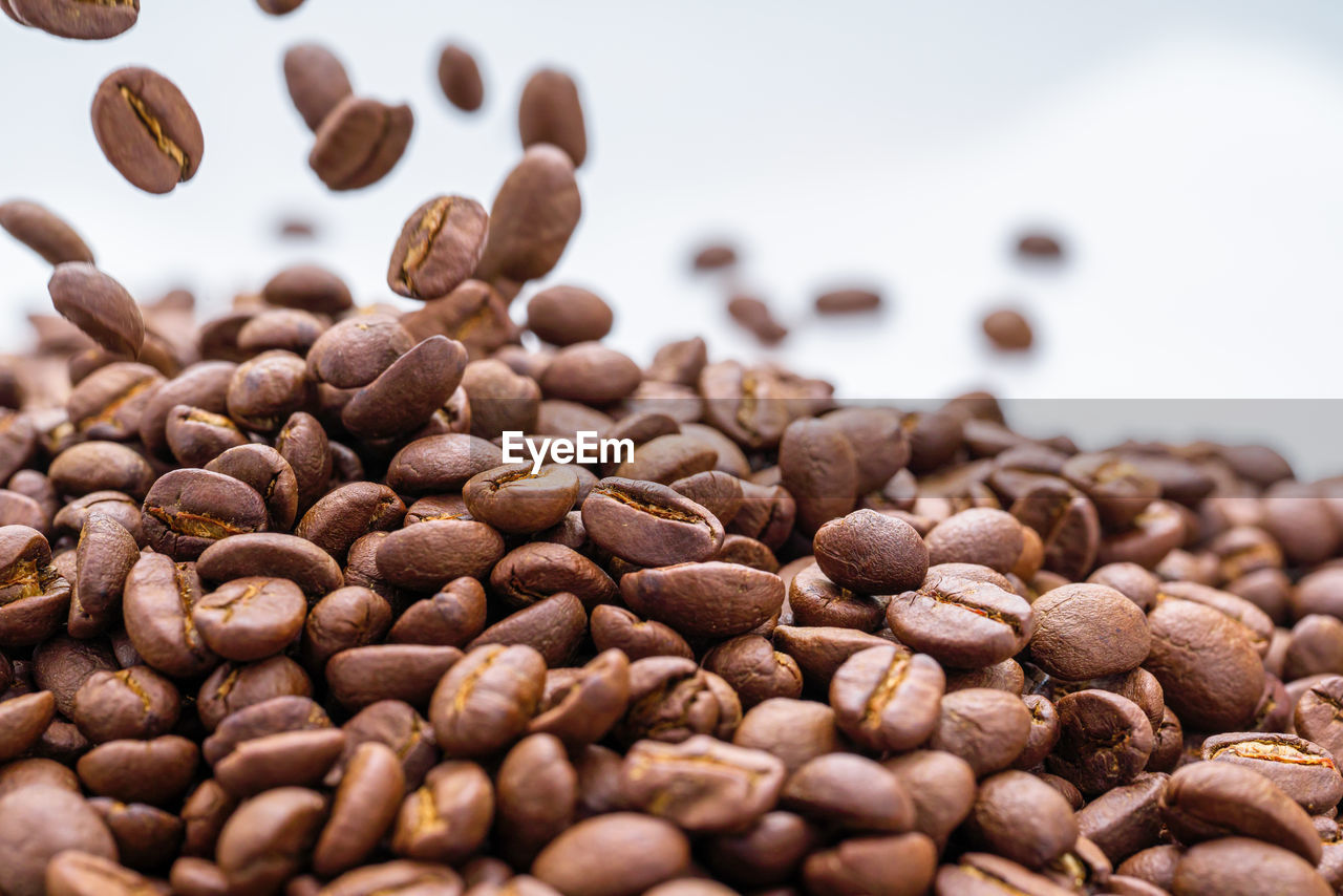 CLOSE-UP OF COFFEE BEANS IN CONTAINER