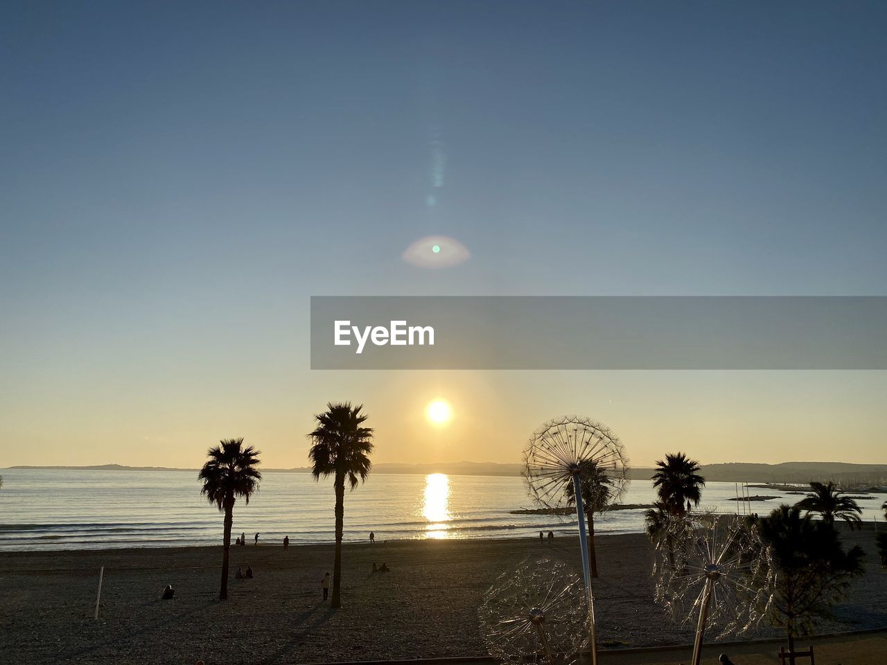 Palm trees on beach against sky during sunset