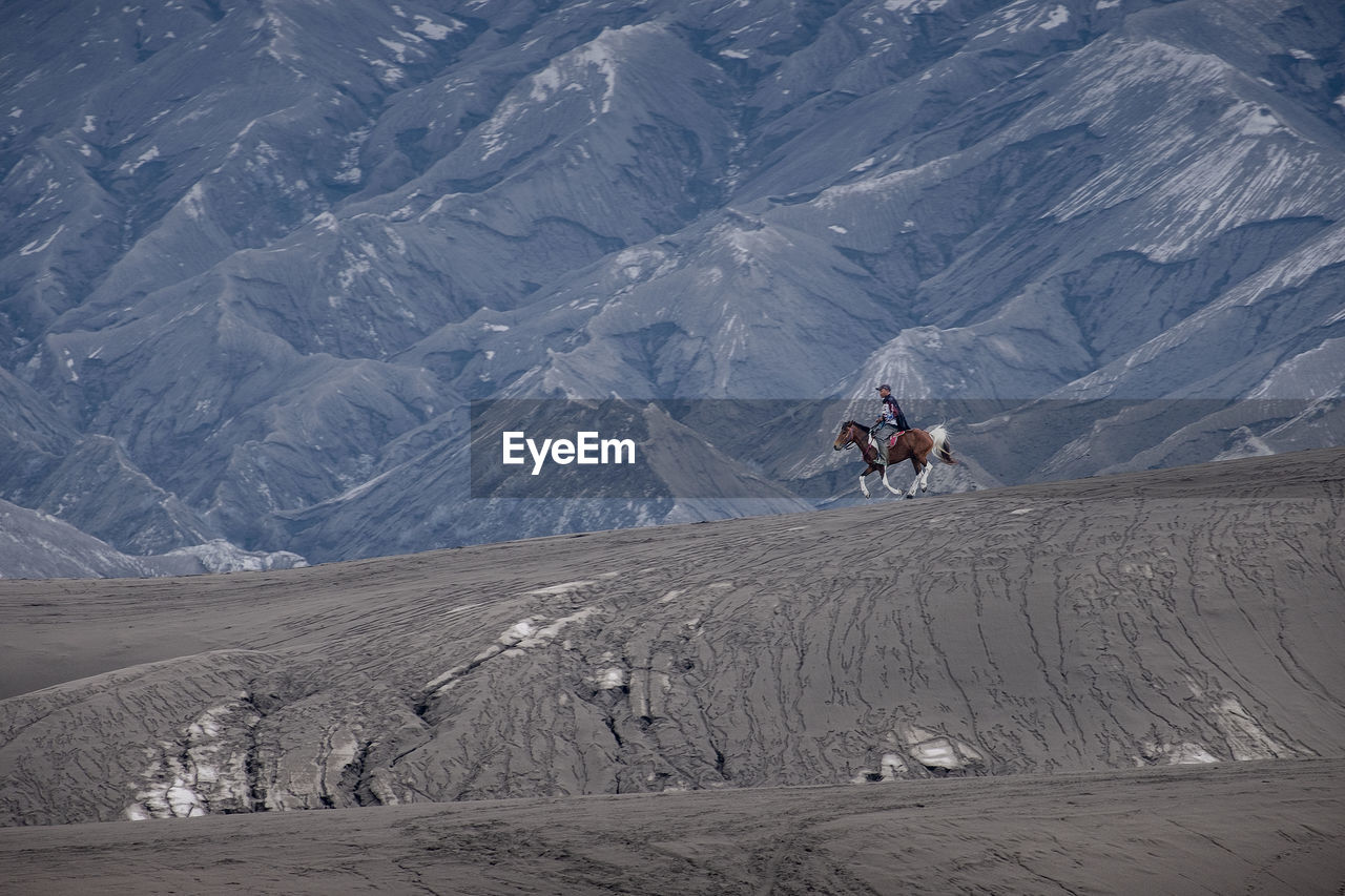 Man riding horse on mountain