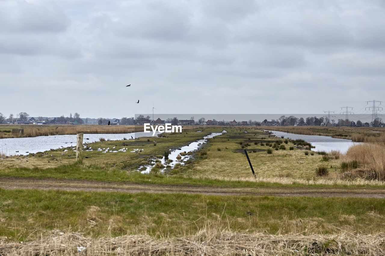 VIEW OF BIRD FLYING OVER LAND