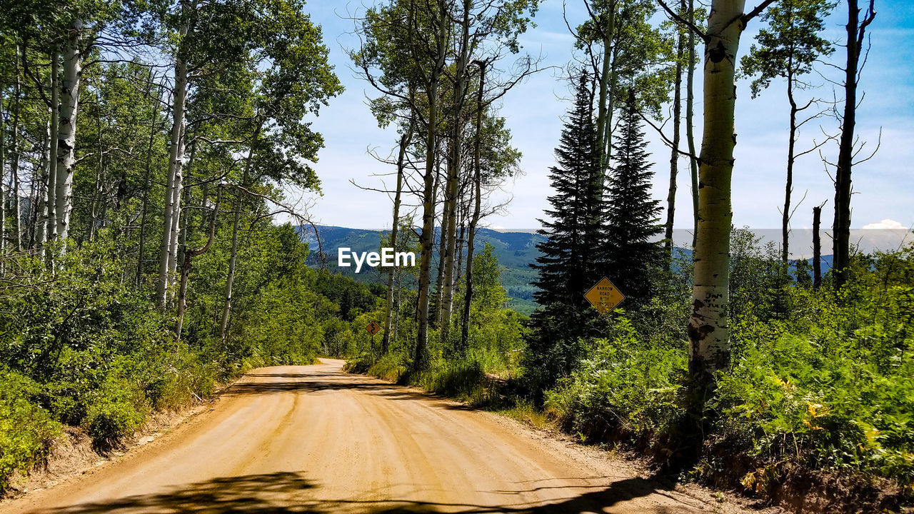 Road amidst trees against sky