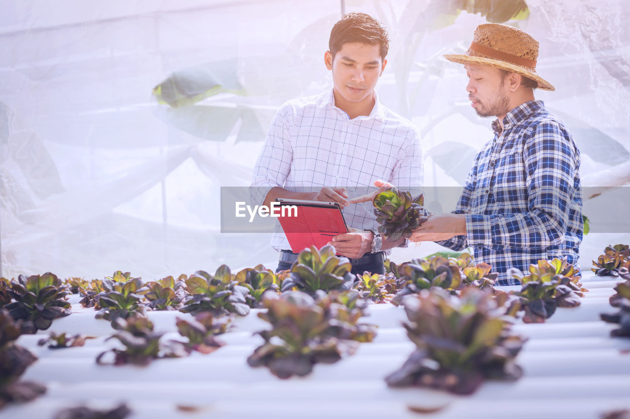 Supervisor discussing with farmer in greenhouse