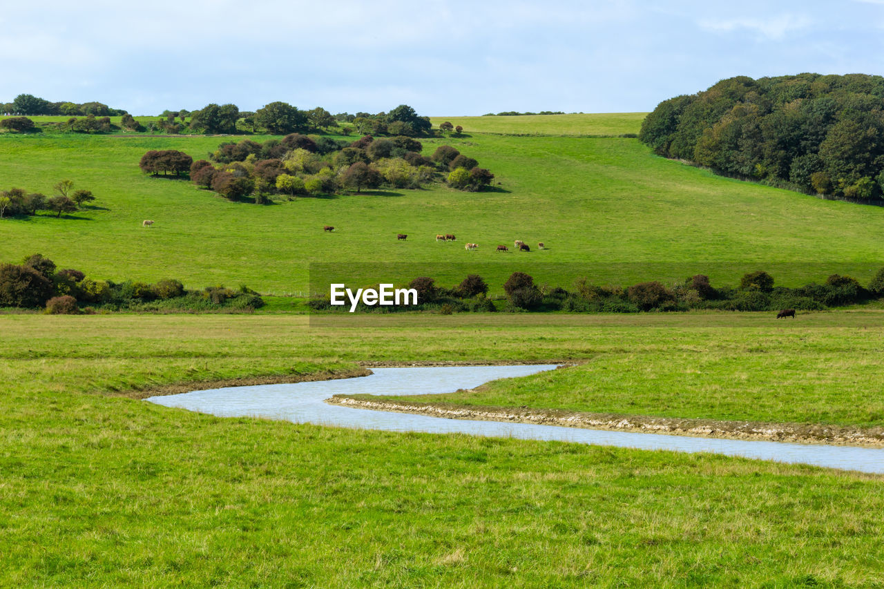 Landscape of pastoral field and canal