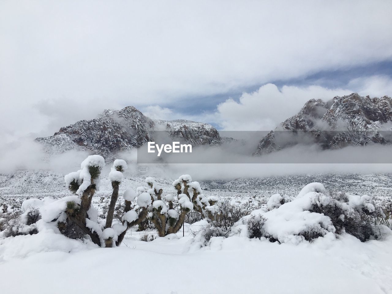 Snow covered mountain against sky