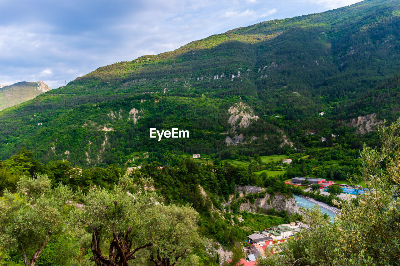 SCENIC VIEW OF TREES ON MOUNTAIN AGAINST SKY