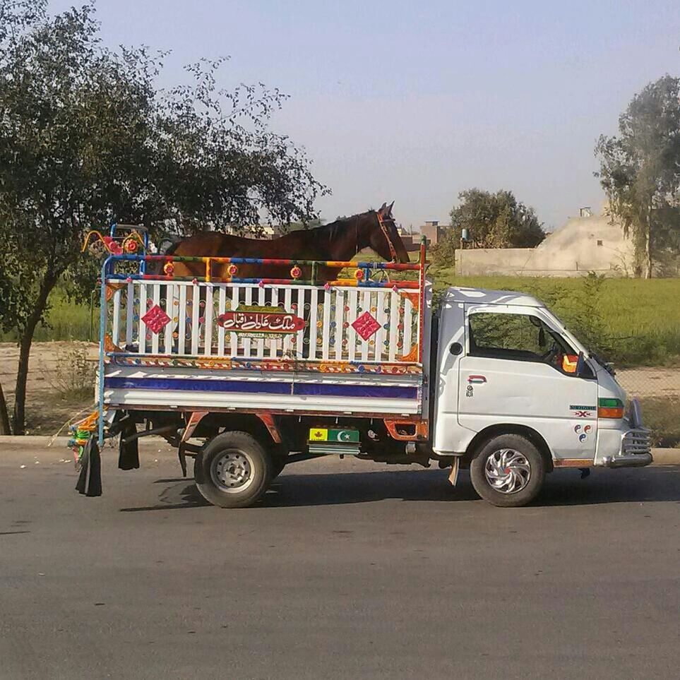 CARS PARKED ON ROADSIDE