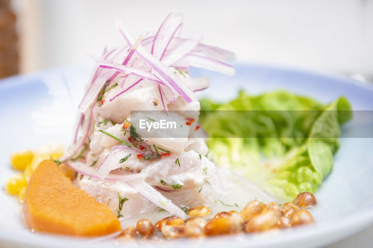 close-up of food served in plate