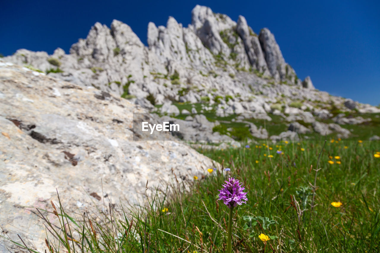 Tulove grede rocks on the velebit mountain, croatia