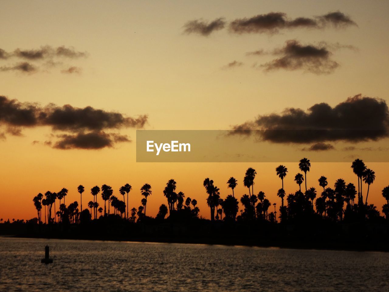 Silhouette palm trees by sea against sky during sunset