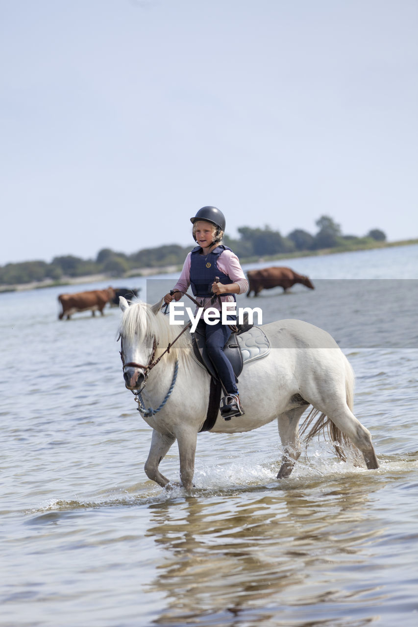 Girl riding on horse, oland, sweden