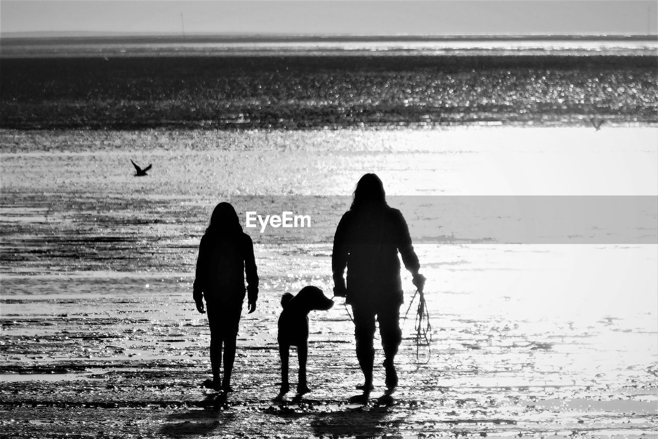 REAR VIEW OF PEOPLE WALKING ON SHORE