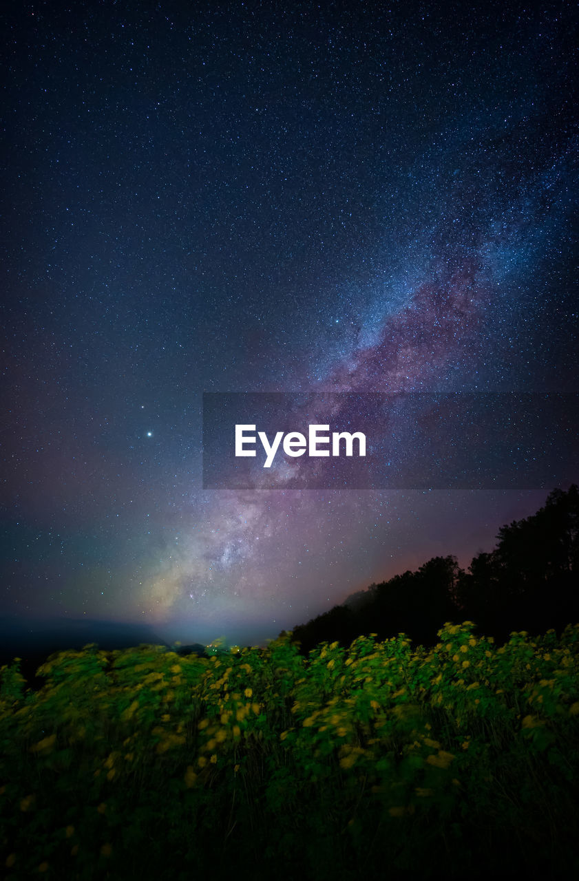 Low angle view of star field against sky at night