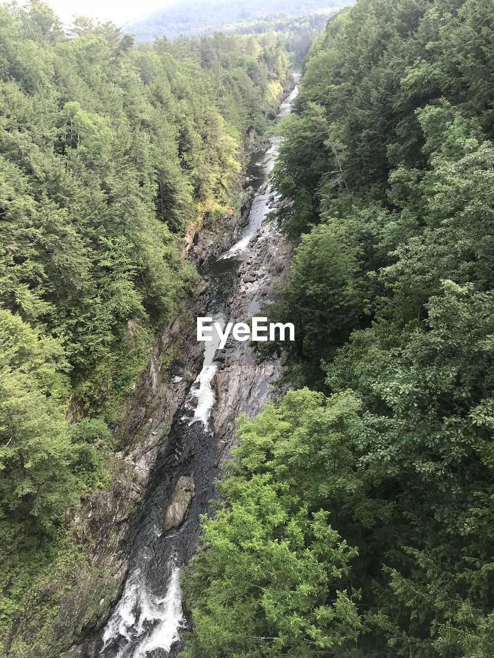 SCENIC VIEW OF WATERFALL AMIDST TREES