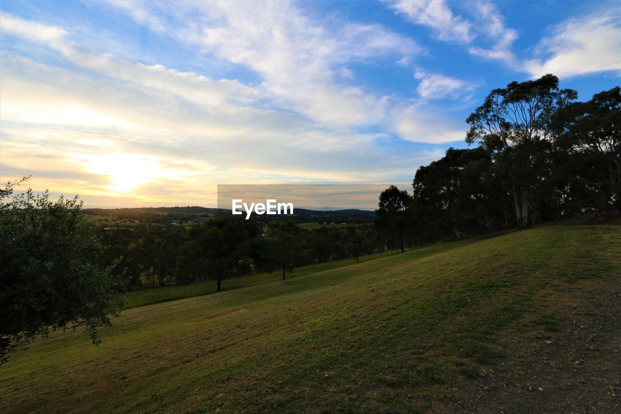 SCENIC VIEW OF GRASSY FIELD AGAINST SKY AT SUNSET