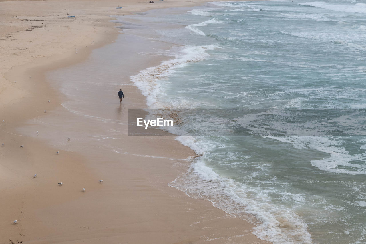 Scenic view of beach