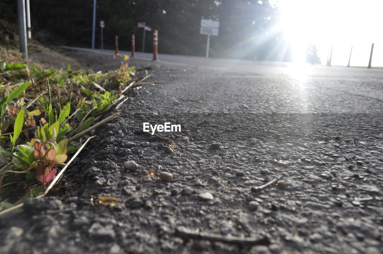 SURFACE LEVEL VIEW OF ROAD