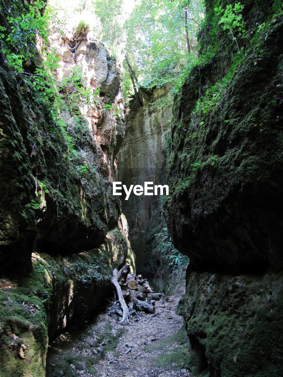 Walkway amidst rocks in forest