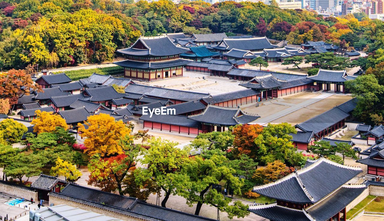 HIGH ANGLE VIEW OF TREES AND HOUSES IN PARK