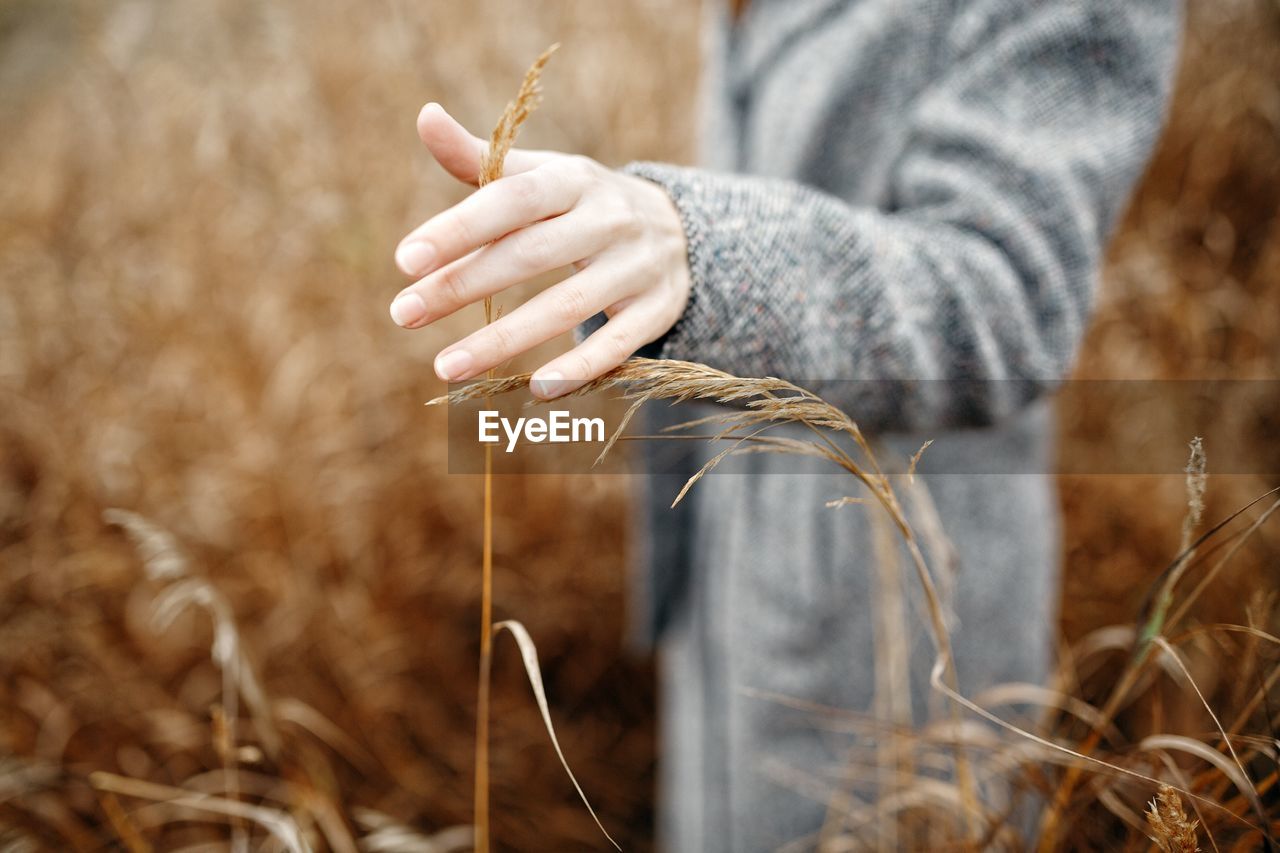 Midsection of man holding plant