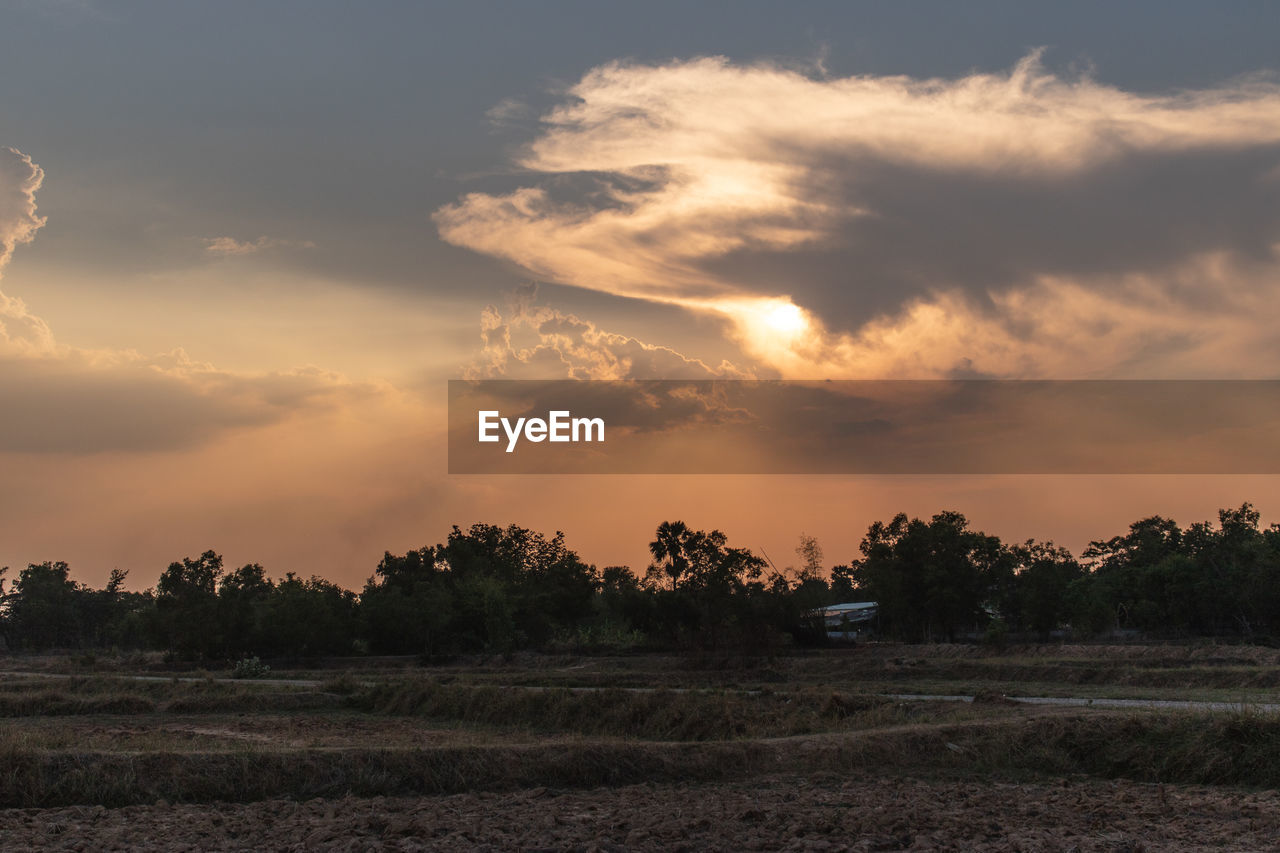 SCENIC VIEW OF TREES AGAINST SKY DURING SUNSET