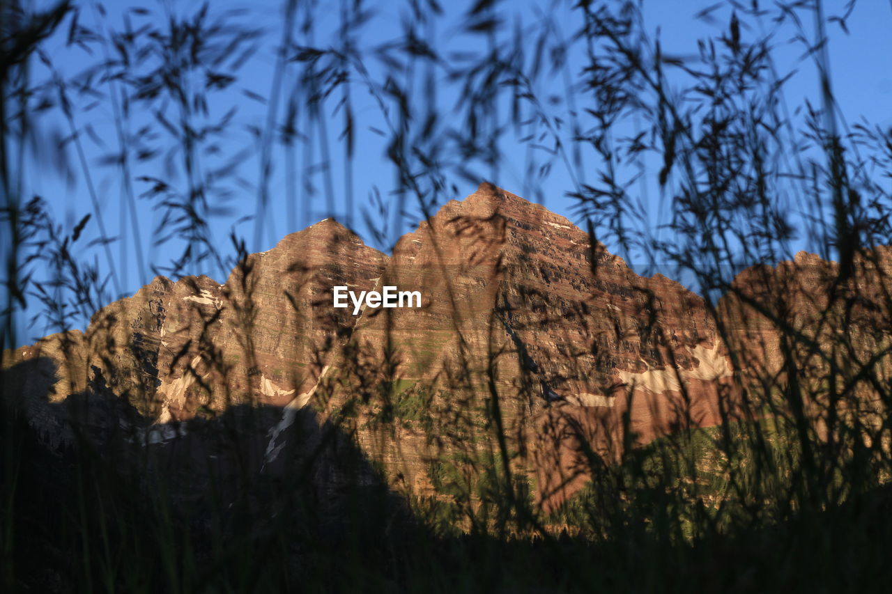 Mountain against blue sky seen through plants