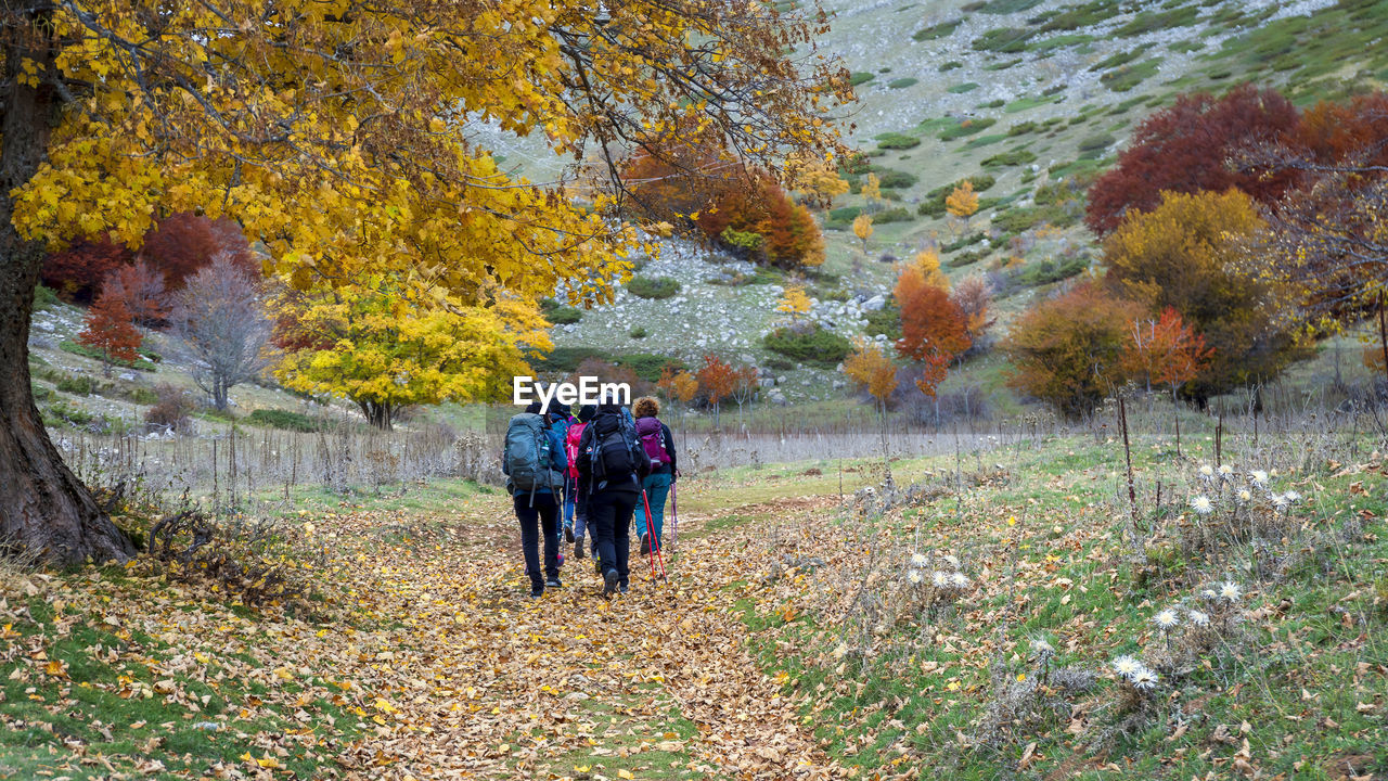 Hikers on the mountain trail explore the area during the autumn season.