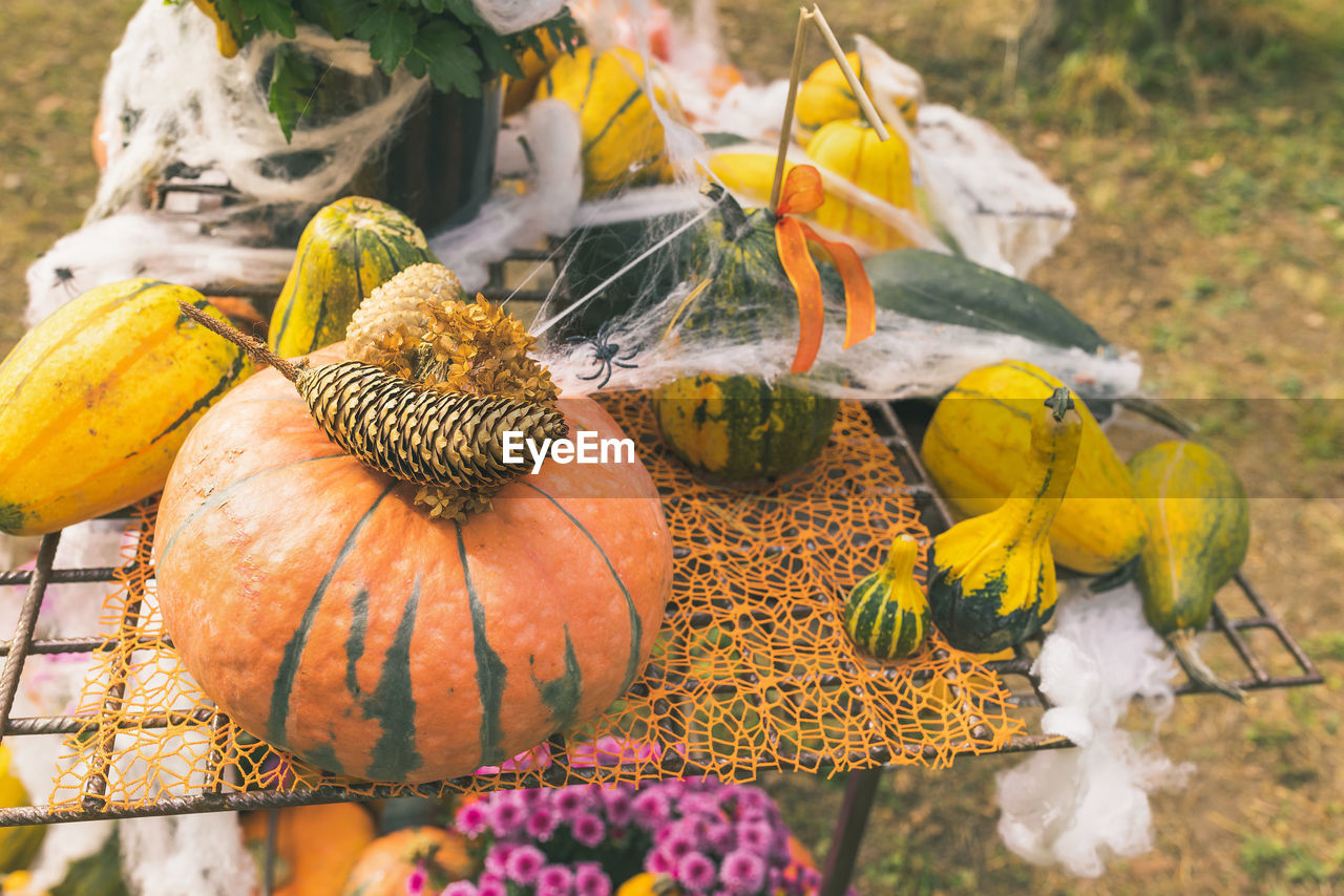 Pumpkins halloween garden decor with flowers, web and pine cones