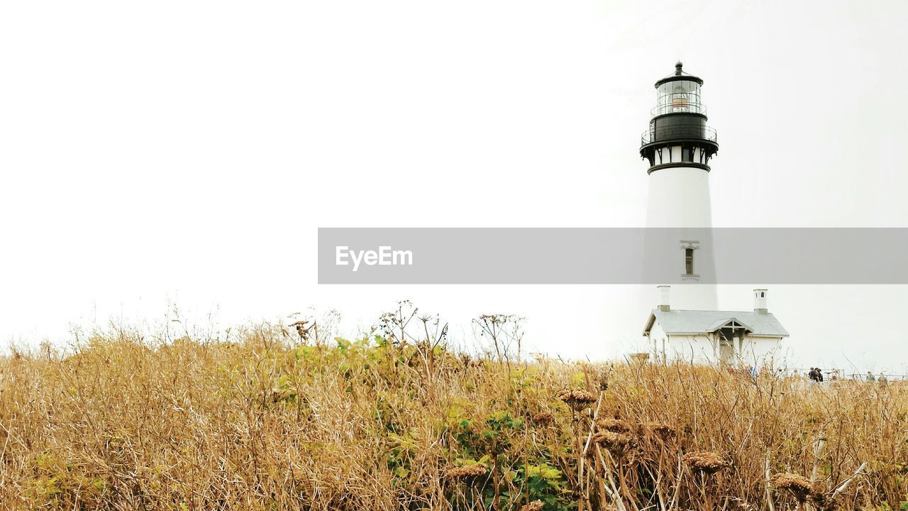 VIEW OF LIGHTHOUSE ON FIELD