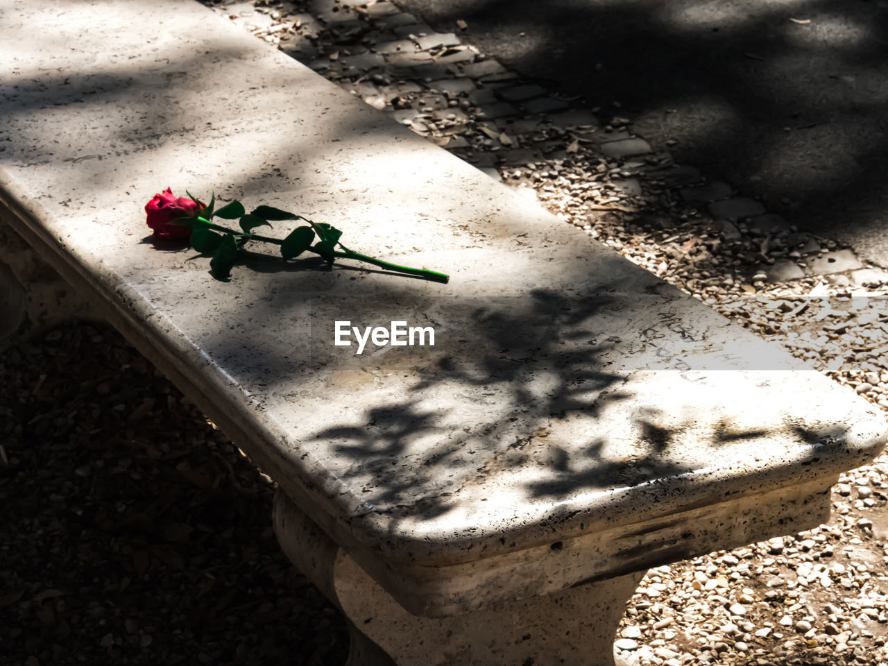 CLOSE-UP HIGH ANGLE VIEW OF PAVING STONE