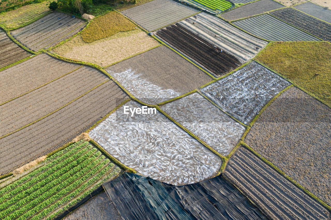 High angle scenic view of agricultural field