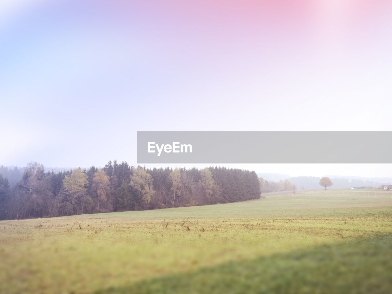 VIEW OF FIELD AGAINST CLEAR SKY