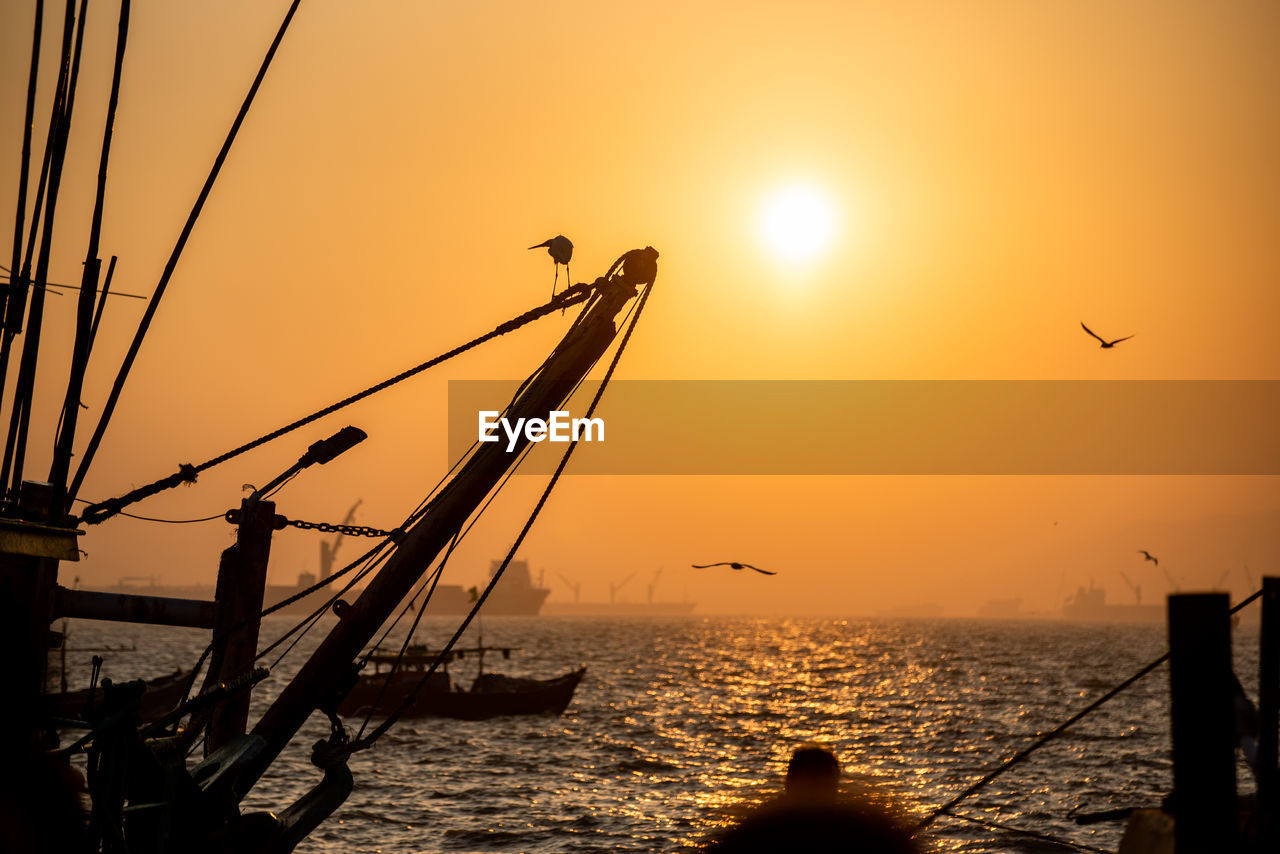 Silhouette birds flying over sea against sky during sunrise