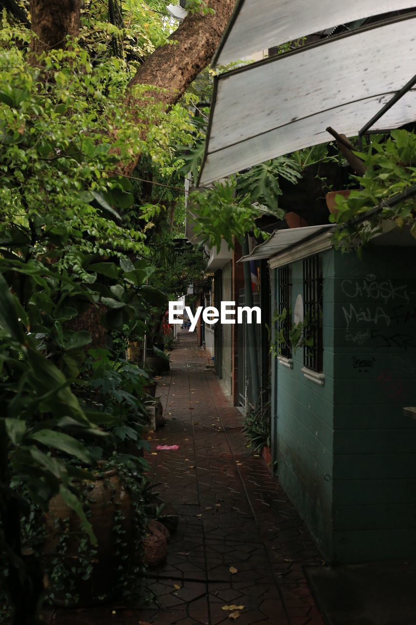 Narrow alley amidst buildings in city