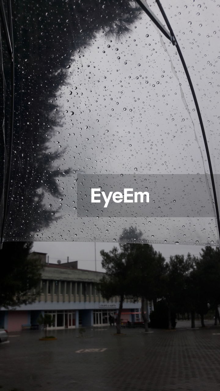 RAINDROPS ON WINDOW