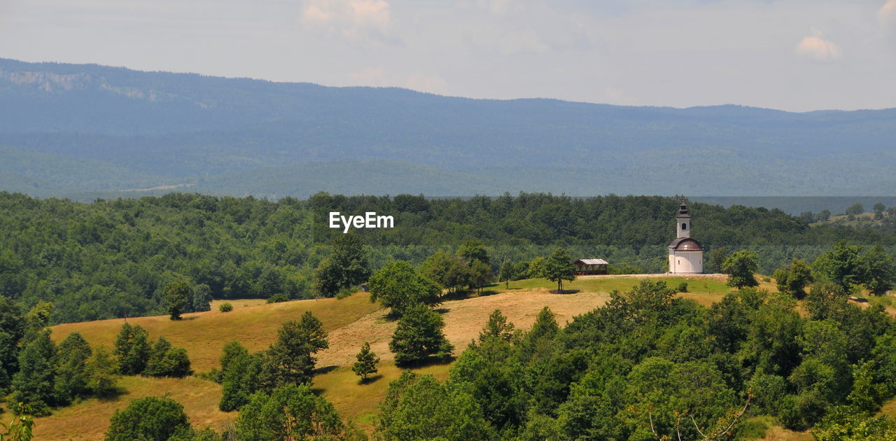 SCENIC VIEW OF TREES AND PLANTS ON MOUNTAIN AGAINST SKY