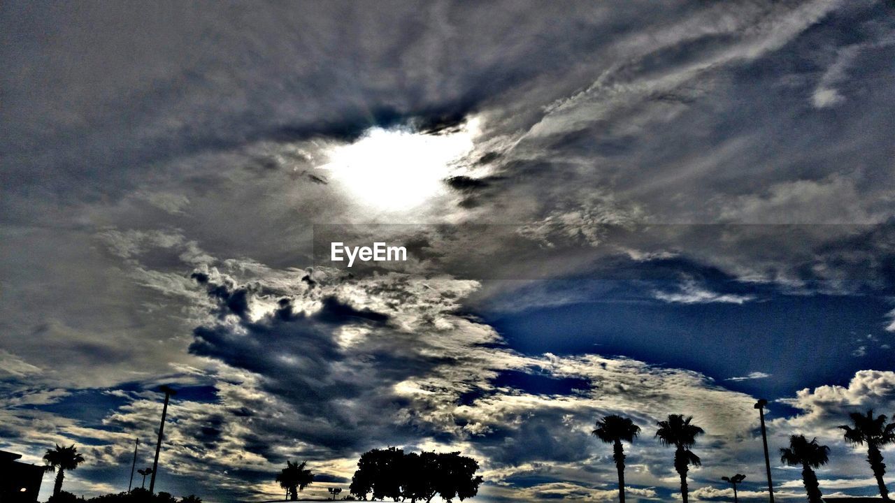 LOW ANGLE VIEW OF CLOUDS OVER SILHOUETTE TREES