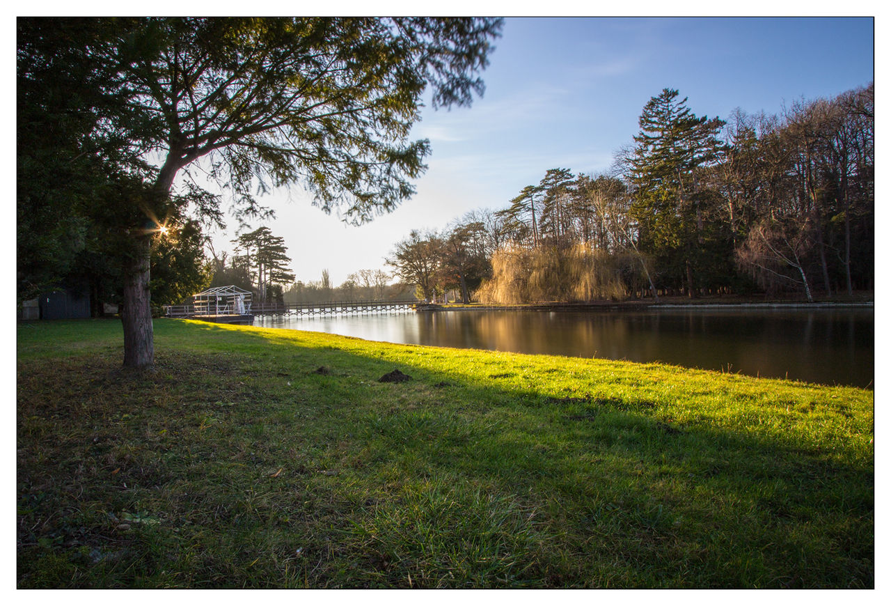 Scenic view of calm lake along with field