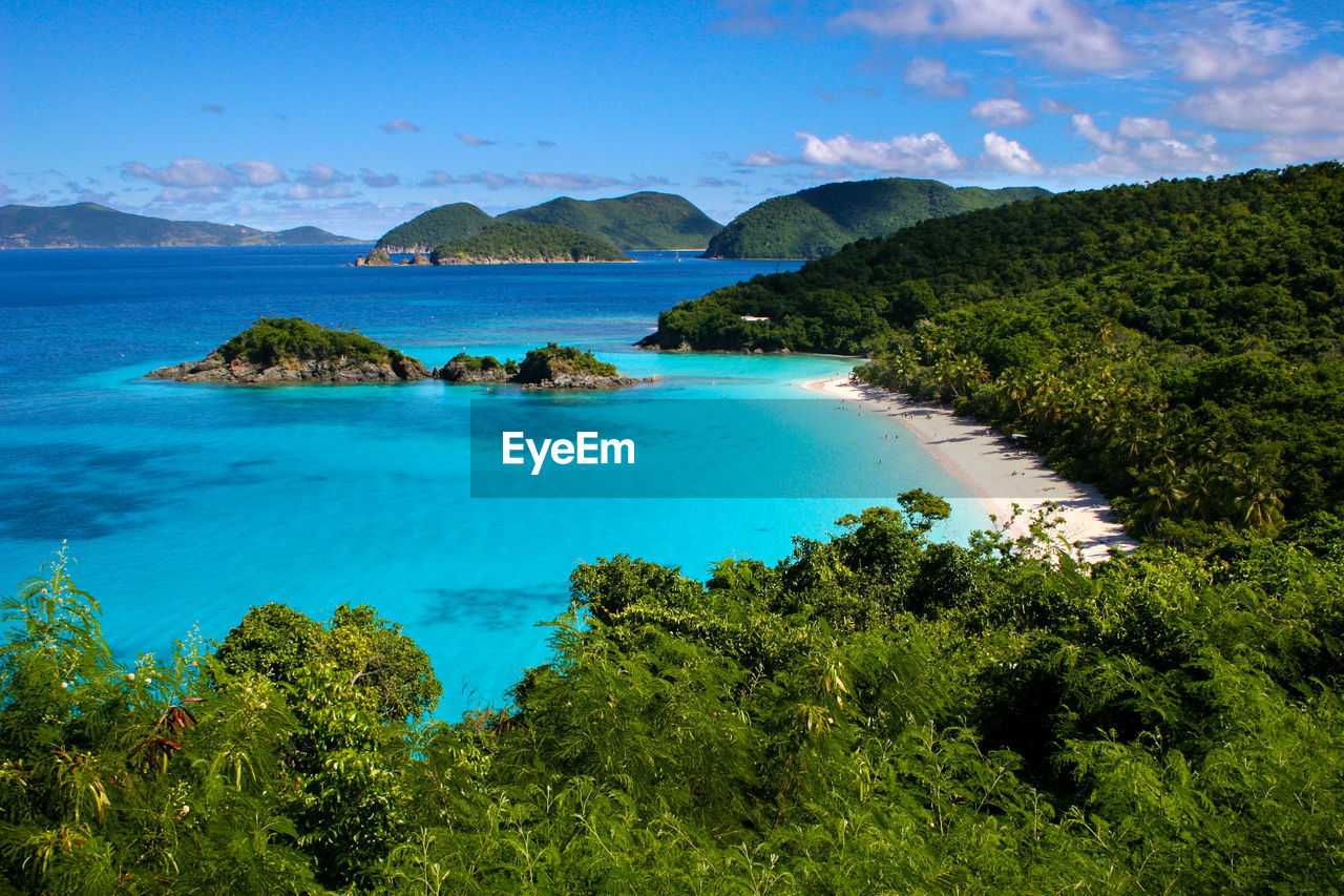 SCENIC VIEW OF SEA AND TREES AGAINST SKY