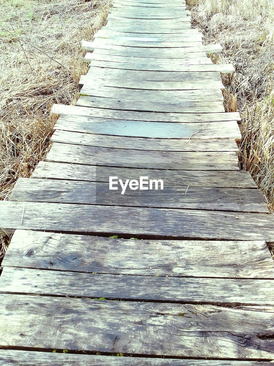 WALKWAY OF WOOD AT THE GROUND