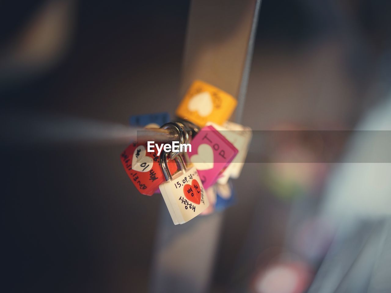 Close-up of love locks on railing