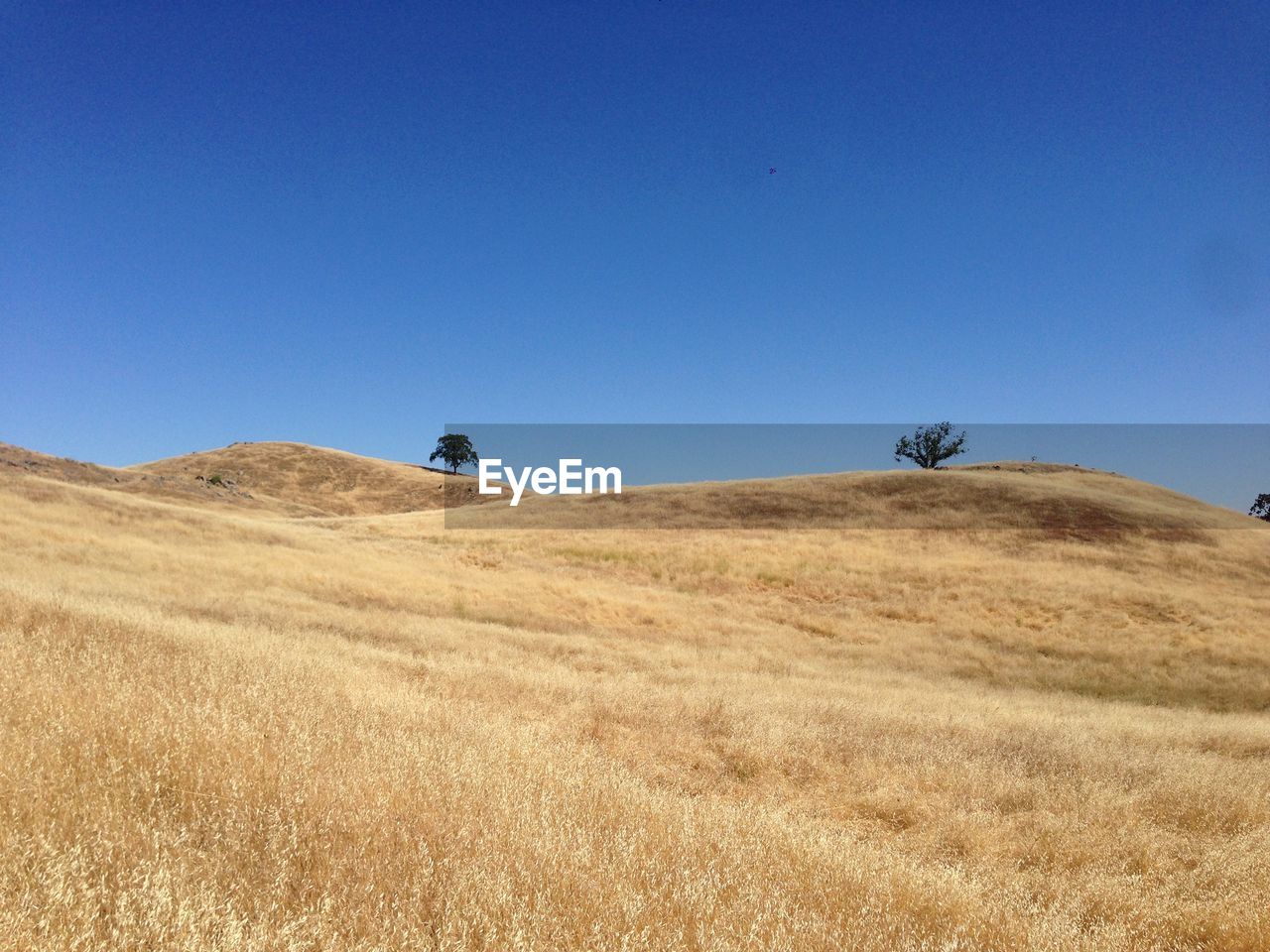 LANDSCAPE AGAINST CLEAR BLUE SKY