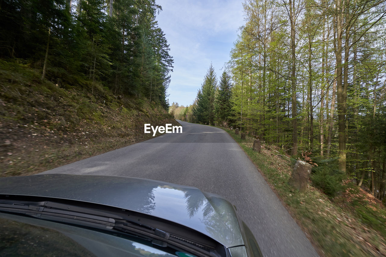Photo from the window of a car that is driving along a road with a cliff and turns along the forest