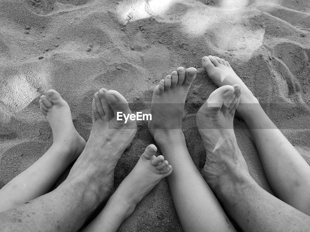 Low section of family at beach