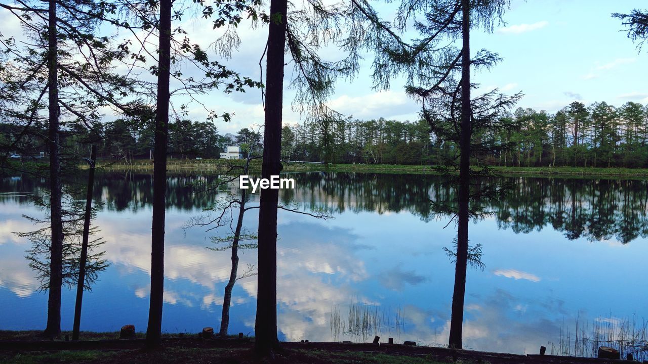 SCENIC VIEW OF LAKE AND TREES AGAINST SKY