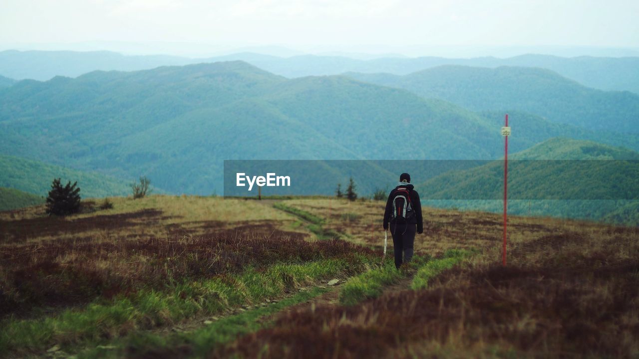 Rear view of man on landscape against mountains