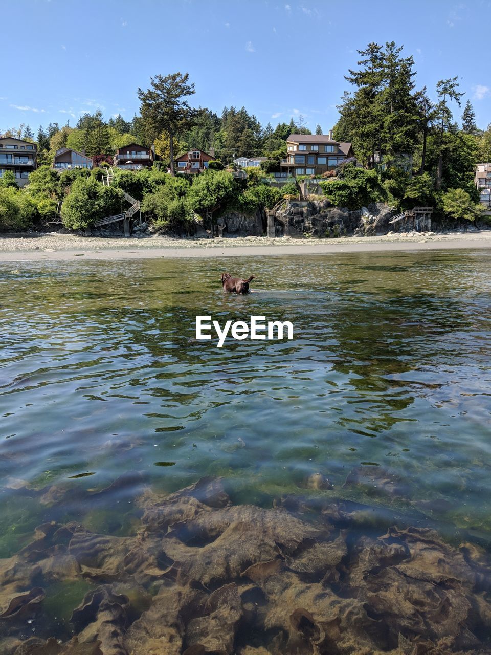 MAN SWIMMING IN LAKE