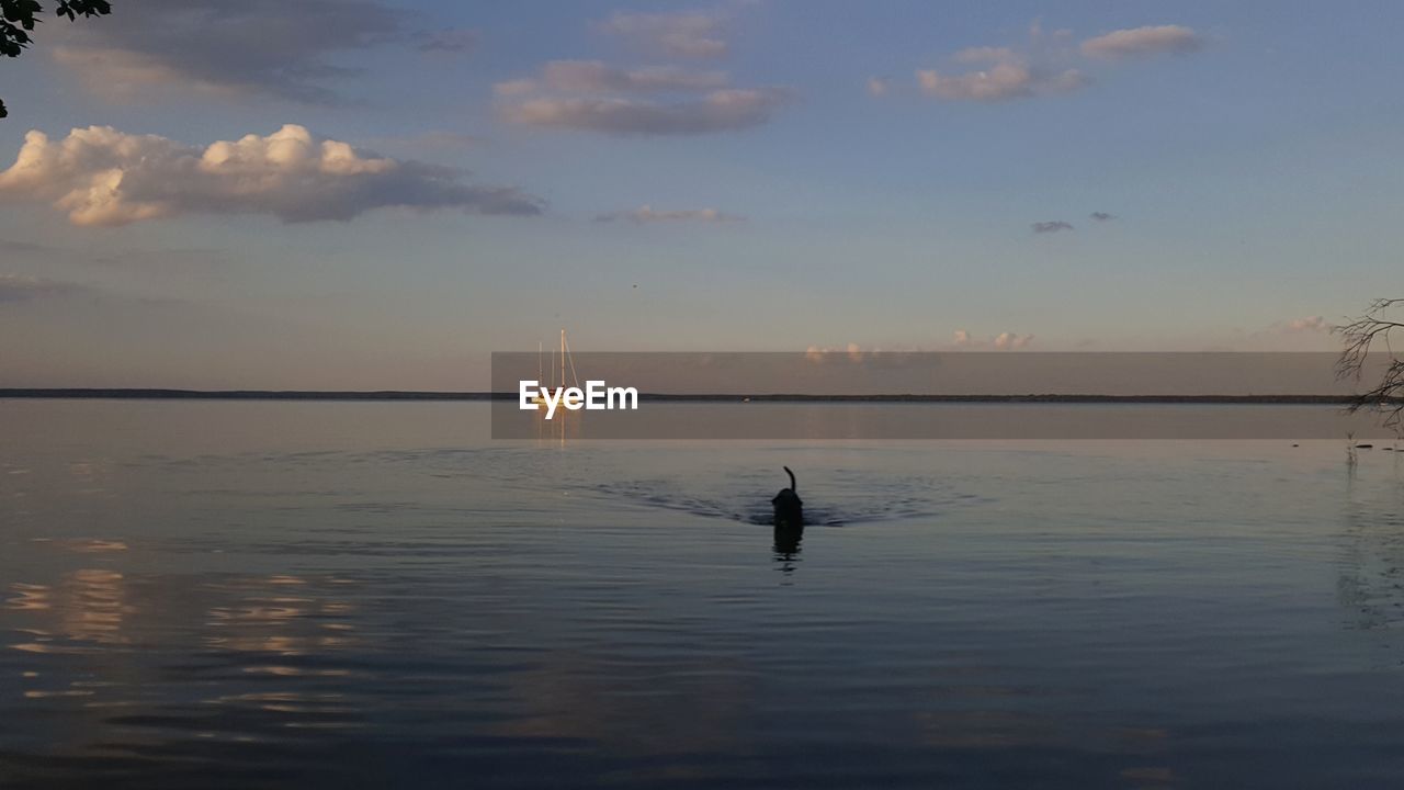 SCENIC VIEW OF SAILBOAT IN SEA AGAINST SKY