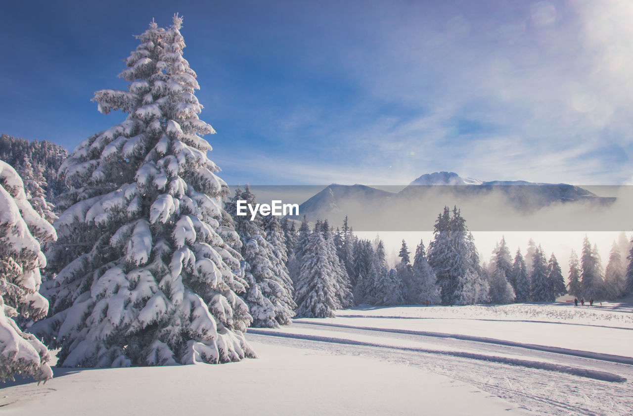 Scenic view of snow covered mountains against sky