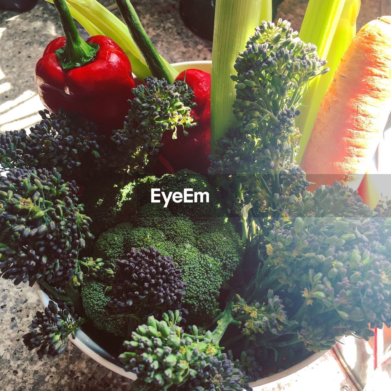PLANT GROWING IN BOWL